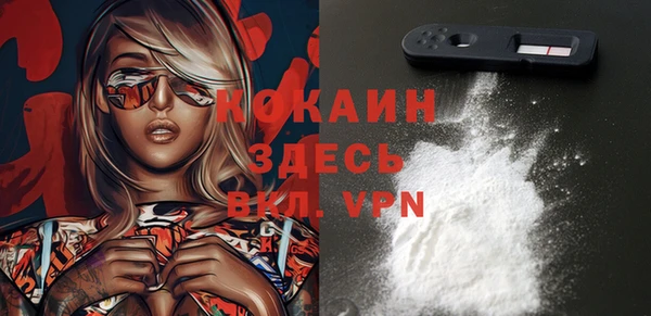 хмурый Алзамай