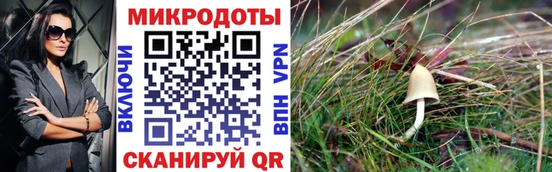 что такое наркотик Харабали Псилоцибиновые грибы MAGIC MUSHROOMS